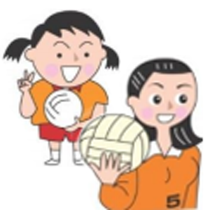 ソフトバレーボール