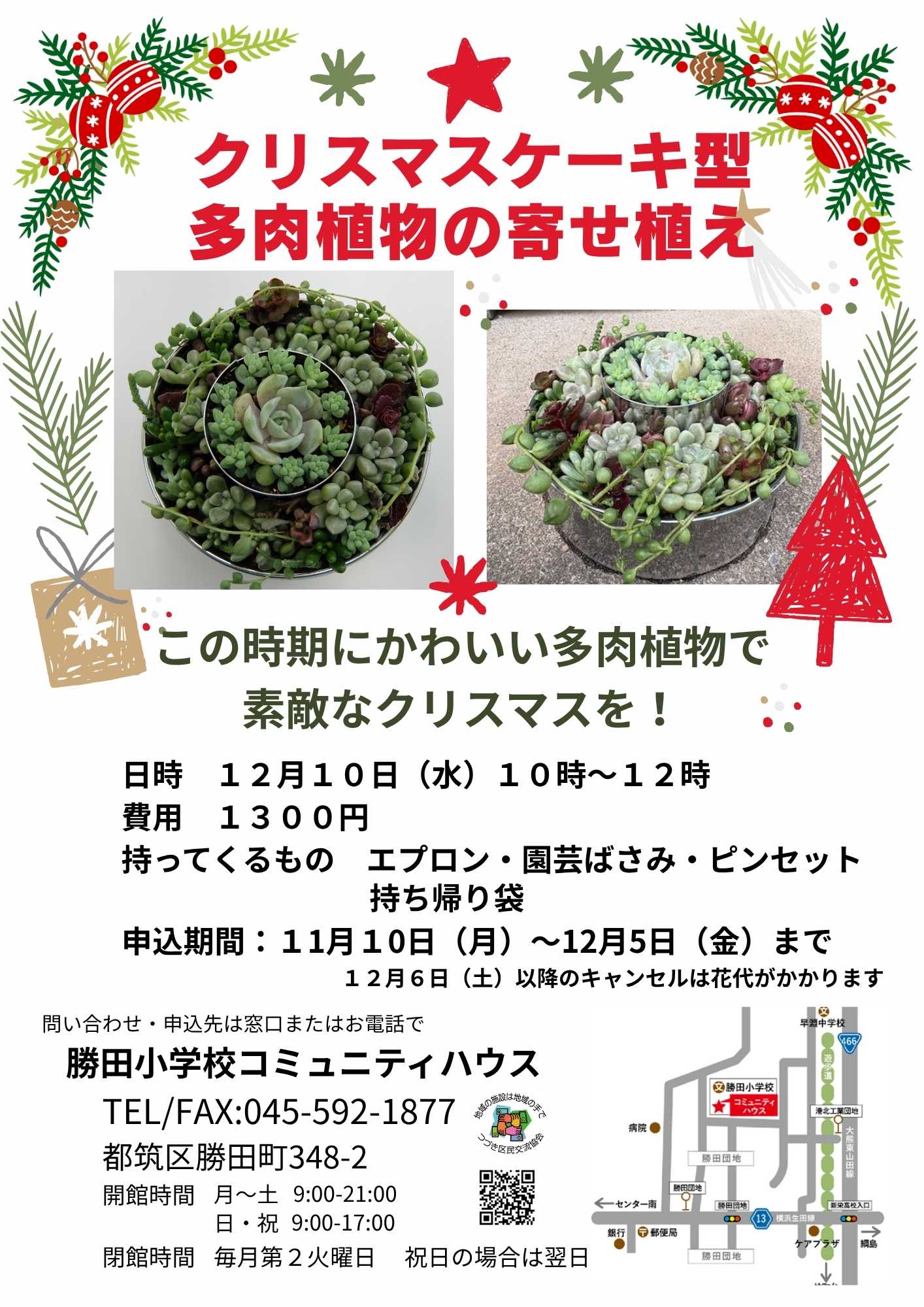 クリスマスケーキ型多肉寄せ植え