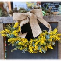 2026ミモザハーフリース