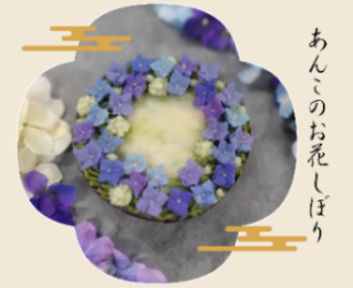 2026あんこのお花しぼり