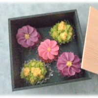 あんこのお花しぼり秋