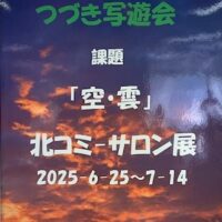 写遊会サロン展