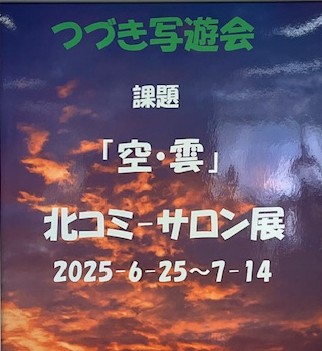 写遊会サロン展