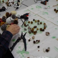 森からのおくりもの