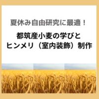 小麦　アイキャッチ