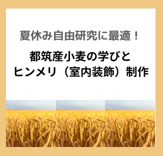 小麦　アイキャッチ