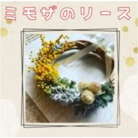 ミモザ　アイキャッチ